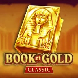 game logo by Playson on betboom.se