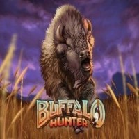 game logo by Nolimit City on betboom.se
